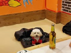 -王老六铁锅炖鱼(圣亚海洋店)