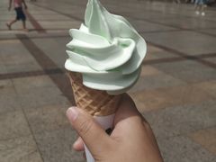 -味子夫鸡柳(三峡广场店)