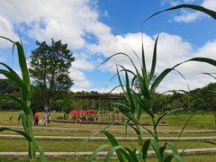 -牛岗山公园