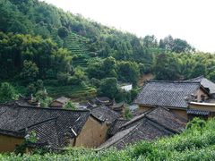 -杨家堂村