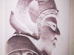 -侵华日军南京大屠杀遇难同胞纪念馆-停车场