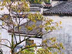 -塔川景区