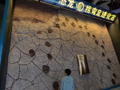 -诸城市恐龙博物馆
