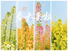 -中国天府农业博览园