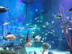 -沈阳海洋探索中心