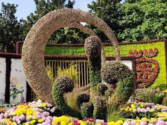 -上海共青森林公园