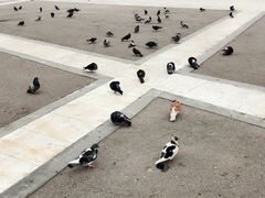 -宪法广场