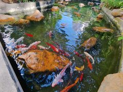 -广州花园酒店