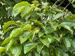 -东钱湖旅游度假区