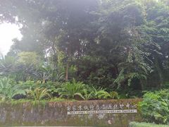 -深圳仙湖植物园