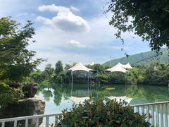 -帐篷客·溪龙茶谷度假酒店