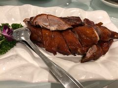 -同乐轩港式早茶
