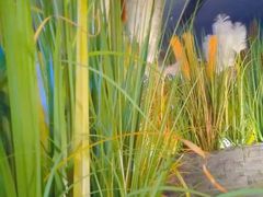 -味界·精致赣菜(招商花园城店)