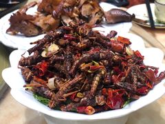 -全家福东北菜(联谊花园宜康苑店)