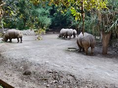 -普洱太阳河森林公园