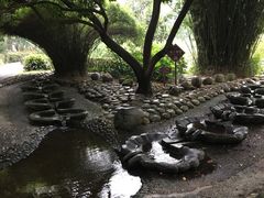 -成都市活水公园