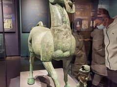 -广西壮族自治区博物馆