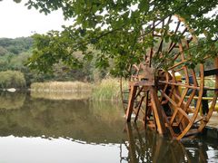 -鲁山国家森林公园