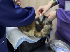 -恒幸动物医院·急重症转诊中心·神经内外科·CT核磁
