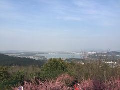 -香雪海
