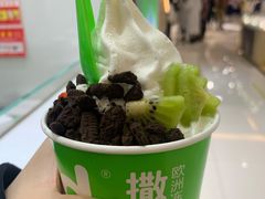 -Salud撒露欧洲冻酸奶(798艺术区店)