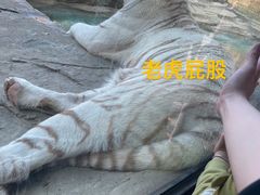 -杭州野生动物世界