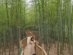 -陶祖圣境风景区