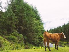 -硗碛藏寨·神木垒景区