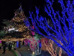 -泡泡玛特POPMART(蓝色港湾店)