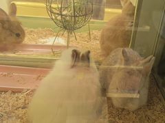 -龙猫仔乐园(惠福东路店)