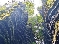 -梭布垭石林景区