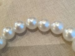 -普天和酒楼(天津之眼店)