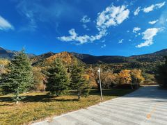 -林芝工布庄园希尔顿酒店-猎味中餐厅