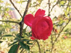 -人民公园(罗湖区)