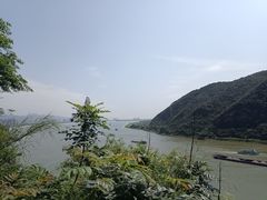 -羚羊峡古栈道森林公园