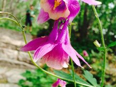 iphone_upload_pic-白草畔自然风景区