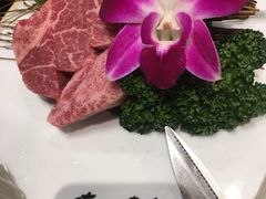 -俺的焼肉(銀座9丁目店)