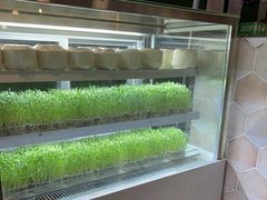 -三克火锅影院(来福士店)