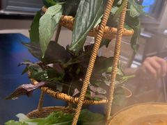 -华冠悠岚·庭院餐厅(青城后山店)