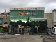 -济州岛泰迪熊博物馆