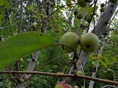 -南京金牛湖风景区