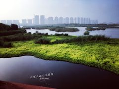 景点-鉴湖国家城市湿地公园