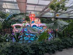 -南宫五洲植物乐园