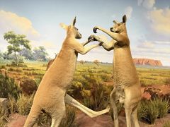 -陕西自然博物馆