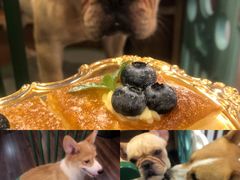 -柯斗斗主题餐厅·狗咖·围炉煮茶·茶饮(国瑞升平里店)