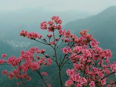 -石潭村