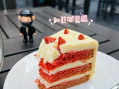 -Madeleine玛德琳(永平里店)