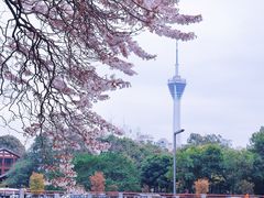 -红星桥(地铁站)