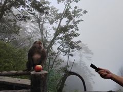 -峨眉山风景名胜区