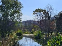 -石塘人家